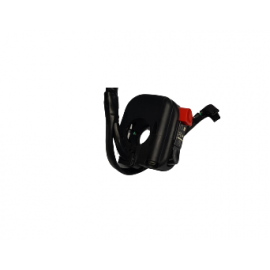 Электромотор для мотоцикла Denzel GB 200 с коробкой передач